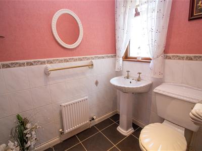 Picture 24